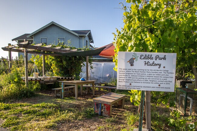Dover Street Edible Park is a popular spot in Bushrod  with fresh produce grown for residents.