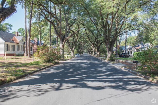 Live oaks line many of the Cleveland Heights streets and provide shade and privacy.