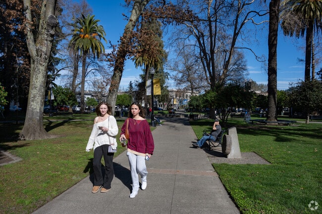 Healdsburg Plaza is a popular thoroughfare for locals spending the day downtown.