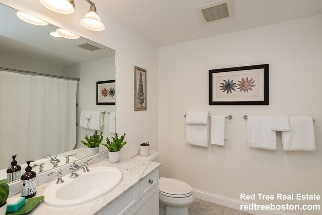 14 Saint Paul St unit 1, Brookline, MA 02446 - photo 5