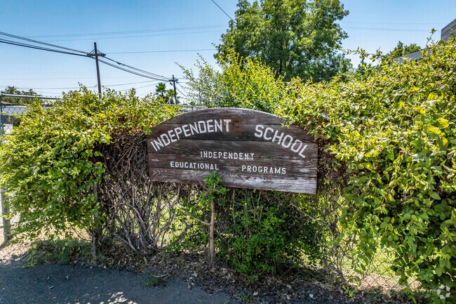 The courses a Independent Educational Programs encourage critical thinking and creativity.