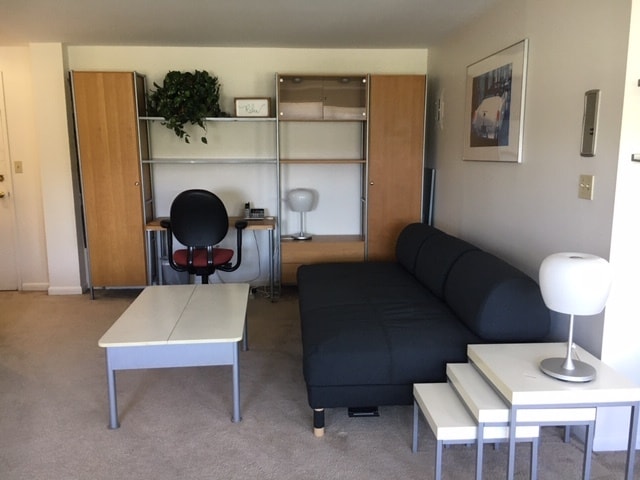 The Webster Condominium unit D5, Hartford, CT 06105 - photo 5