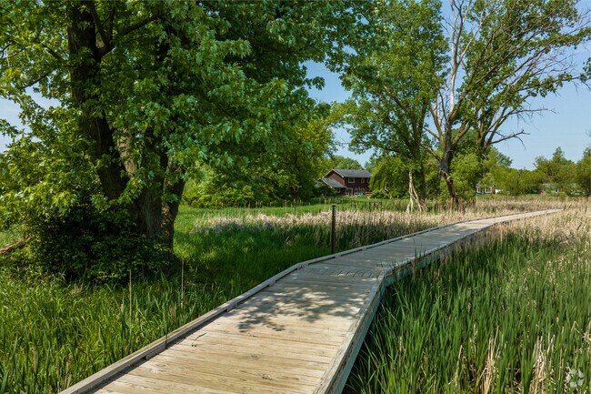 Take an enchanting stroll down Middleton Hills Park's boardwalk.