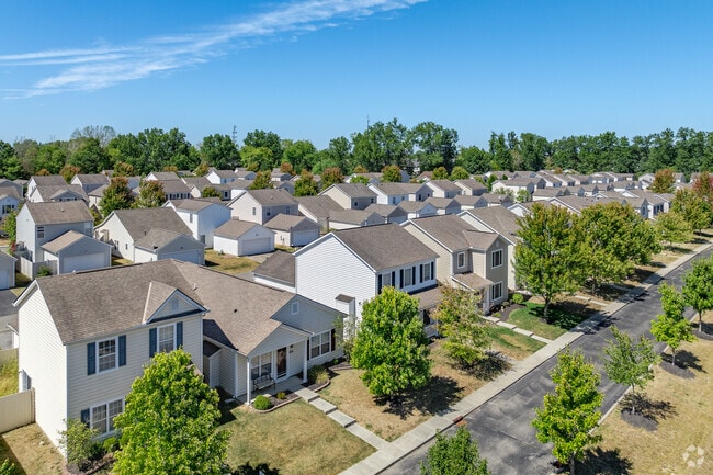 The streets of Willow at Preserve Crossing in Preserve South are lined with mature trees.