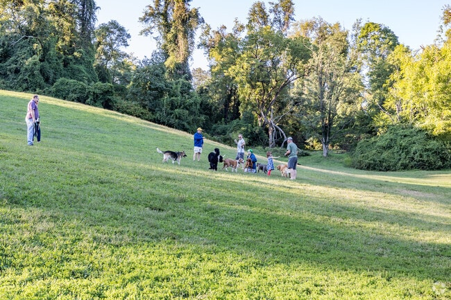 Dog owners gather together in Battery Kemble Park.