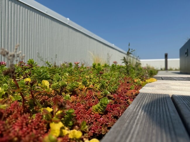 Junction Central, Seattle, WA 98116 - photo 7