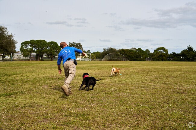 Turtle Run Park offers open green space for running and recreation in Cashmere Cove.