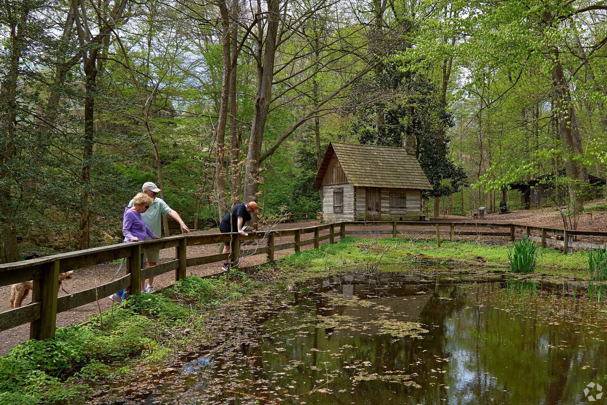 Visitors explore the beauty of the woodland area at the Gulf Branch Nature Center.