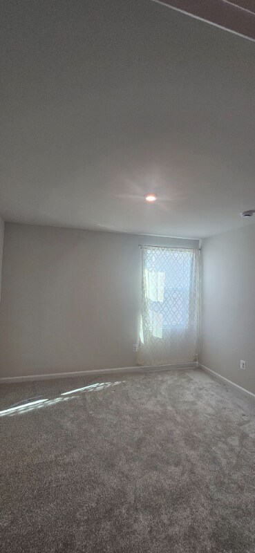 3113 Clover Ln, Culpeper, VA 22701 - photo 4