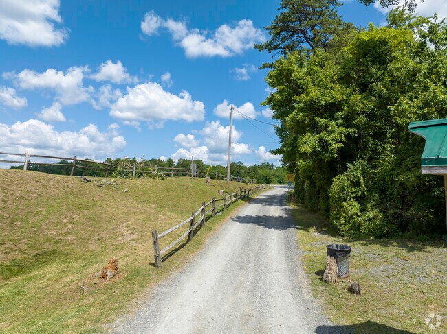 The trails at Albany Pine Bush Preserve offers a quiet, serene retreat from Campus Area.