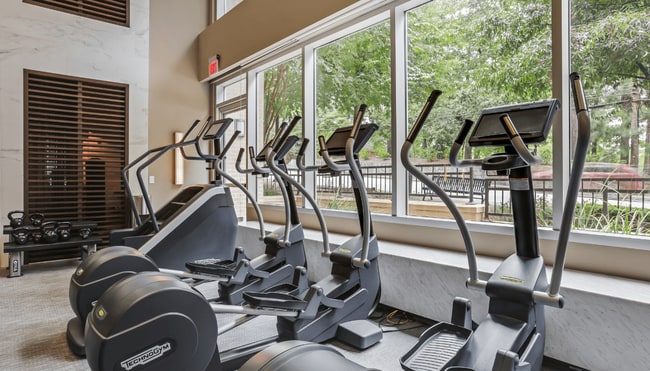 The Bryant at Buckhead Village, Atlanta, GA 30305 - photo 3