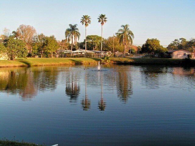 Imperial Palms Apartments, Largo, FL 33771 - photo 6