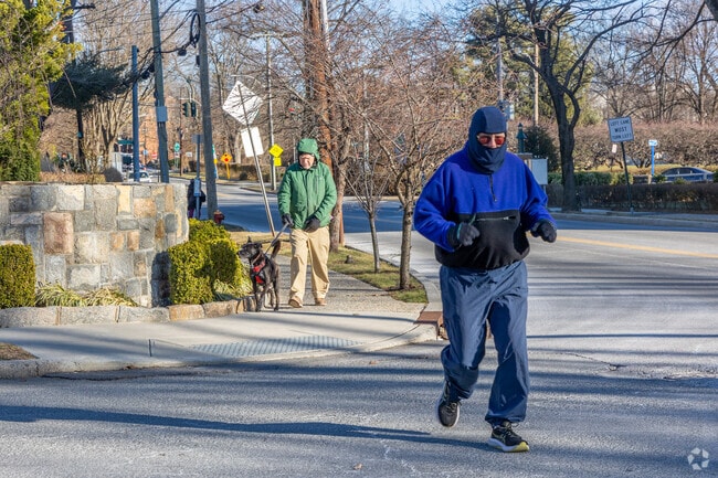 On a brisk day run through the quiet neighborhood of Lawrence Park.