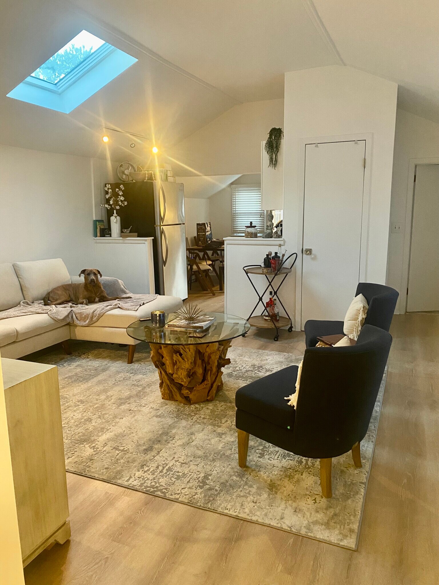 LR w/ vaulted ceiling and skylight