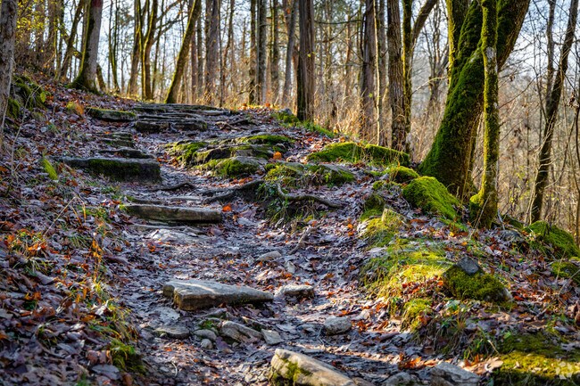 Coletown hikers can enjoy a variety of terrain at Raven Run Nature Sanctuary.