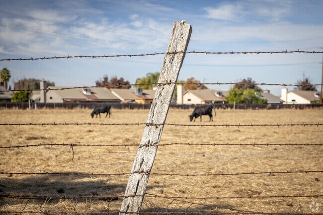 You never get to far form the rural sights of Newman.