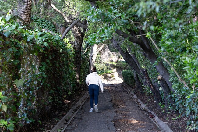 Claremont offers beautiful hiking trails that wind through scenic hills and overlook the Bay Area.