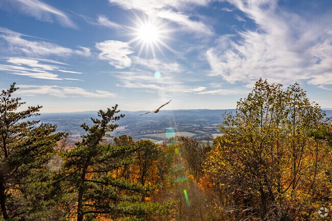 Gambrill State Park is western Marylands ideal location for viewing foliage and unique wildlife.