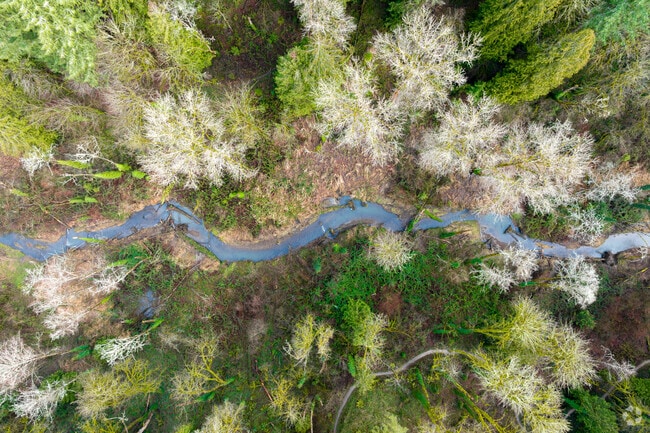 Tryon Creek State Natural Area, is home to 658 acres of woodlands, suspension bridges and trickling streams.