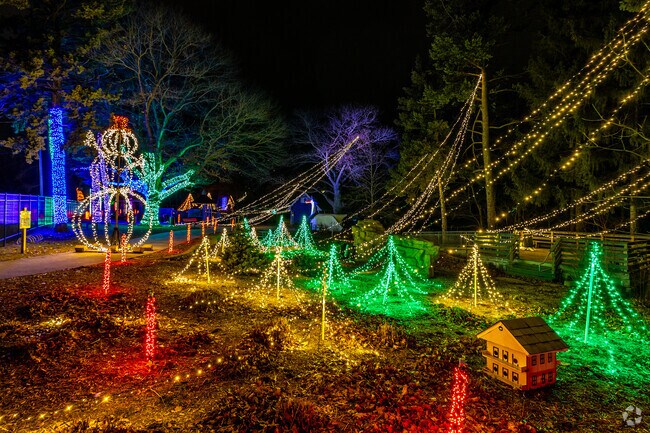 The annual Fejervary Park Holiday Lights attract visitors from across the Quad Cities.