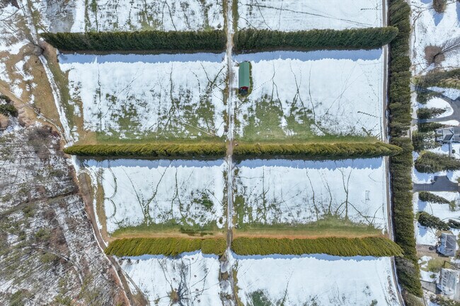 In the warmer months, the Tree Farm Soccer Complex becomes a frequently visited destination for those partaking in sports and outdoor activities.