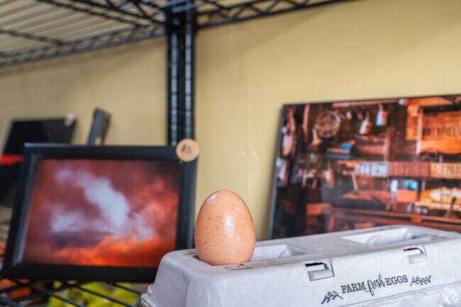 Pick up some fresh eggs from the farm stands around Howland.