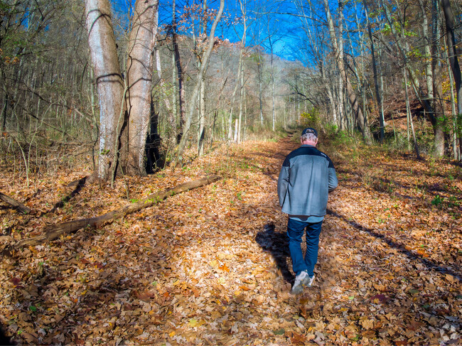 Tom's Run has miles of hiking trails, near Glenfield.