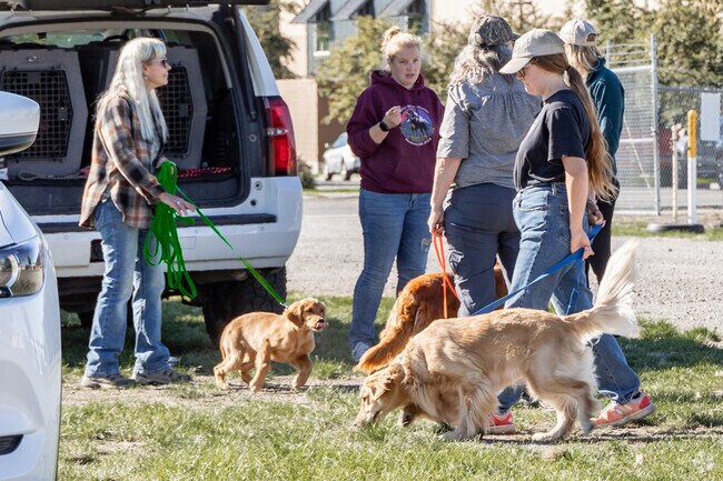 Honeysuckle Residents love having dog play dates at the park.