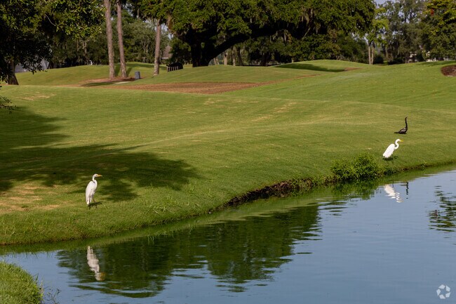Birds are part of the landscape on Callawassee Island.