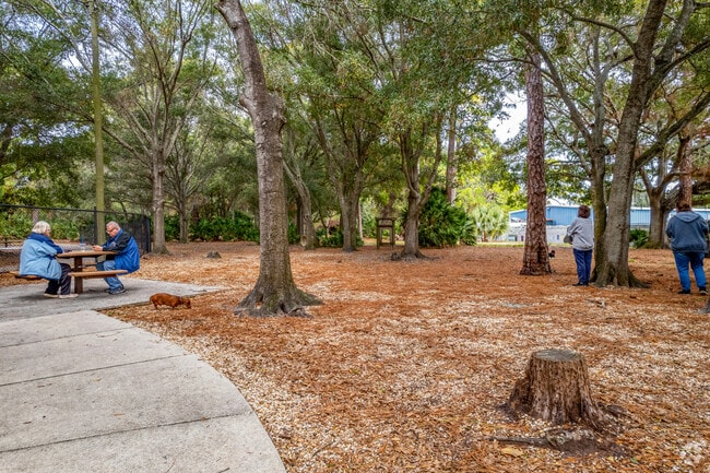 Let your pup get out their energy & play with other pups at the dog park in Northeast Park near Brookside.