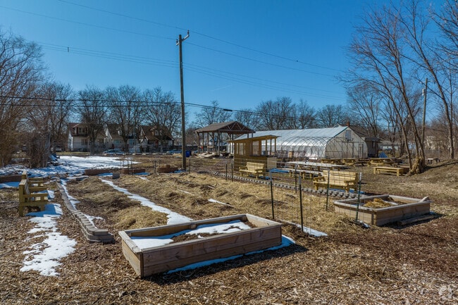 Featherstone Garden strives to educate the Morningside community on health and wellness.