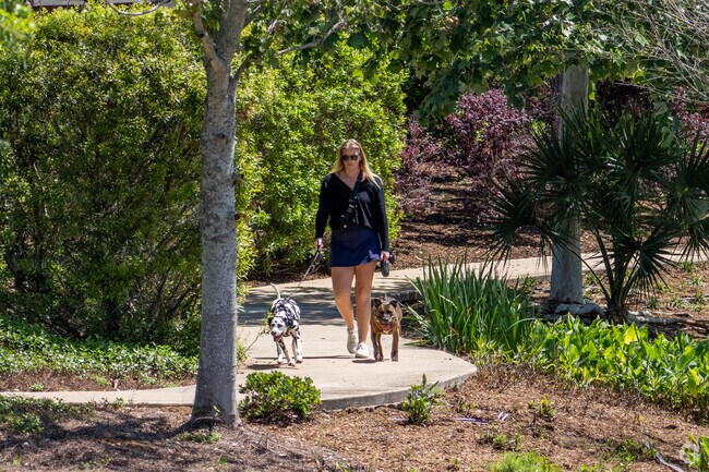 A woman walks her dogs along a quiet trail in the Rosharon area.