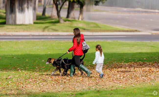 Beckman Dog Park in Central Lodi is the place to walk your pets.