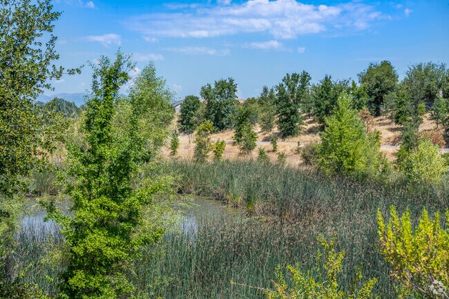 Goodwater’s Clover Creek Preserve has a nature pond to enjoy.