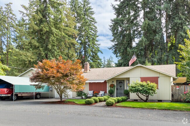 Ranch homes beneath towering pines in the Cal Young neighborhood.