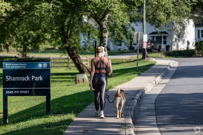 The furry residents of Shamrock enjoy the quiet neighborhood with their parents.