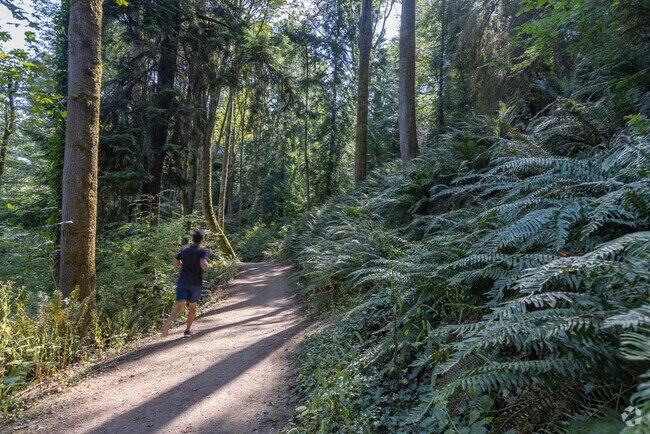 Go for a run in Ravenna Park.
