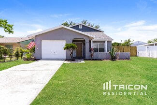 3119 Sandspur Dr, Tampa, FL 33618