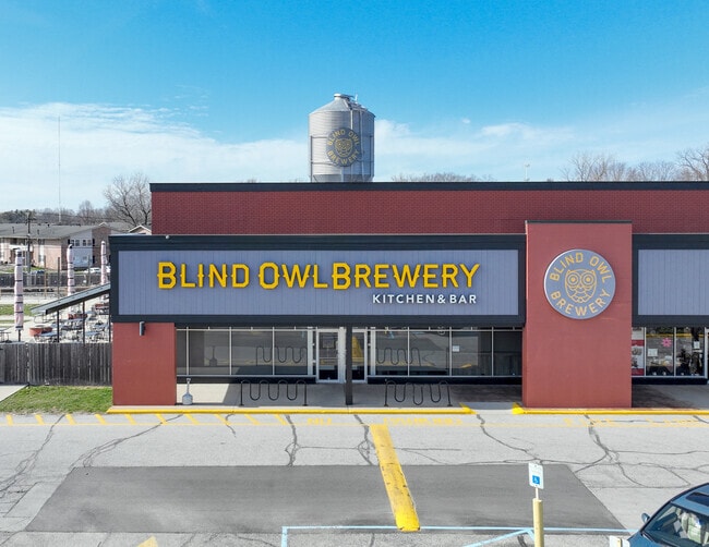 Blind Owl