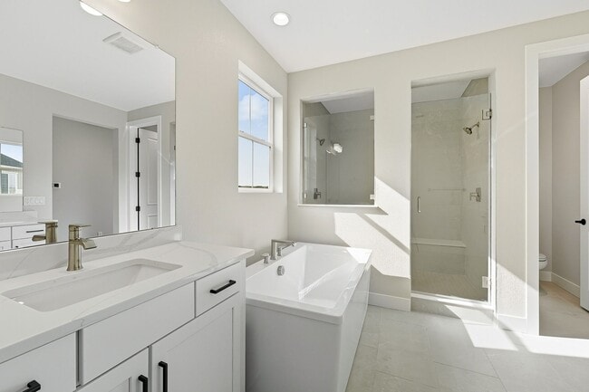 3327 Backdrop Ct, Castle Rock, CO 80108 - photo 5