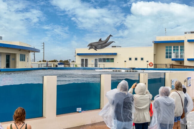 Locals catch the show and watch the animals fly high at the Marineland Monster Mash.