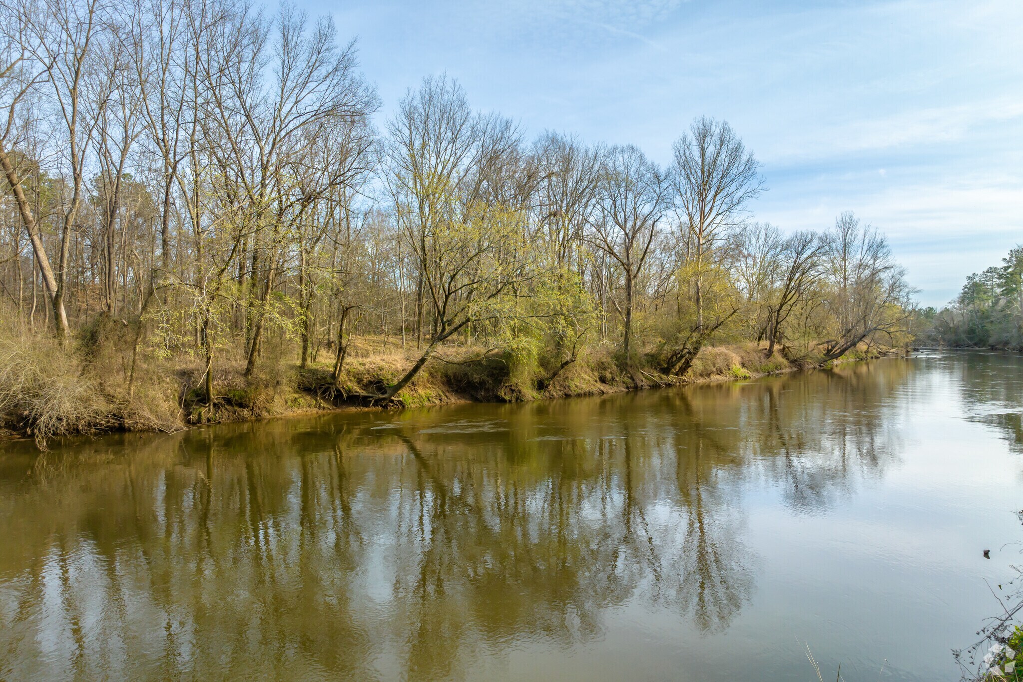 About Forestville Schools, Demographics, Things to Do