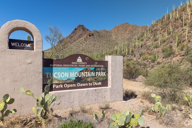 Tucson Mountain Park has plenty of trails to explore with family and friends.