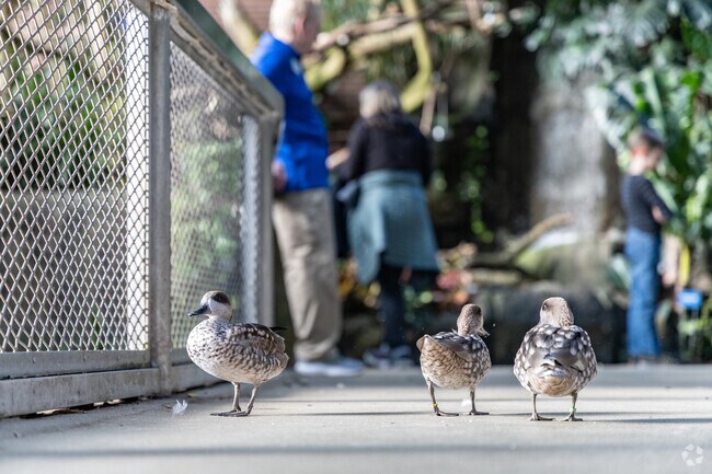 Residents of Deutschtown travel only a few minutes to visit the National Aviary.