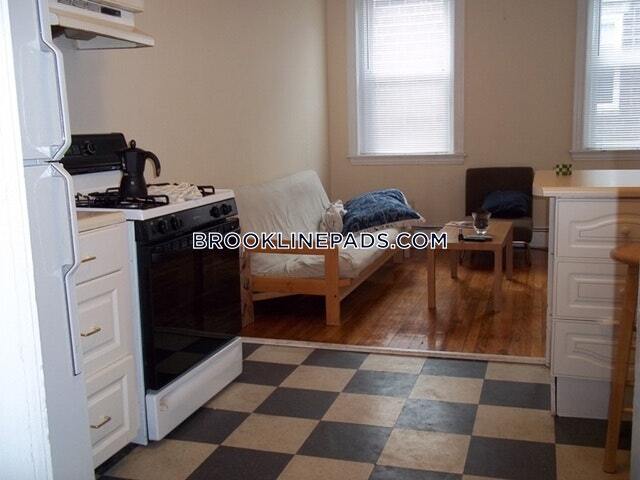 60 Egmont St unit 6, Brookline, MA 02446 - photo 7