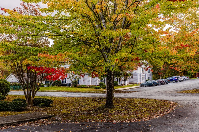 585 Franklin Grove Church Rd unit 2E, Bryson City, NC 28713 - photo 2