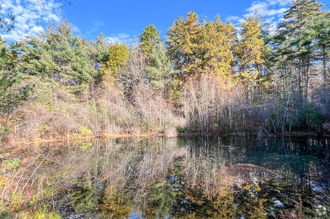 There are small ponds scattered throughout the Brookline neighborhood.
