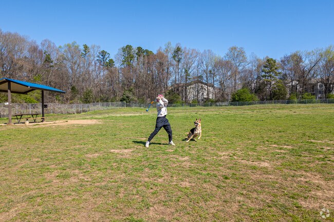 Stop by and watch the dogs run at McAlpine Creek Park near Providence Park.