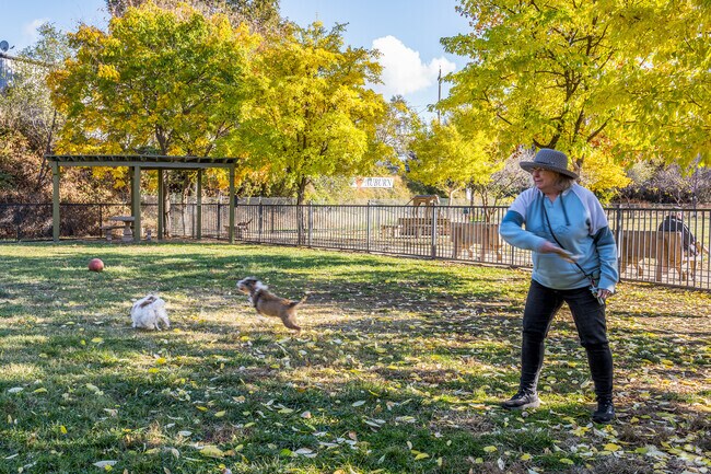 Your dog will love the dog park at Ashford Park.