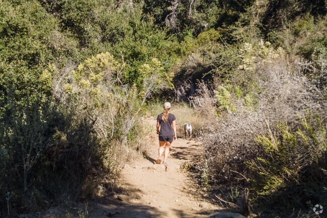 Bring your furry friend along for a hike along the Jesusita Trail in Foothill.